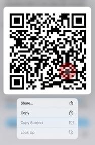 Screenshot do passo de instalação