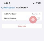 Screenshot do passo de instalação