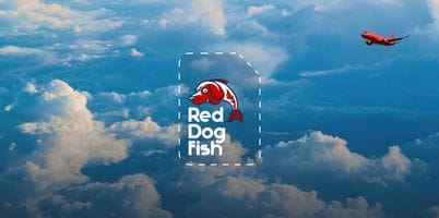 How to Get an eSIM Card for Mobile Internet: The Ultimate Guide