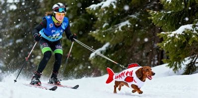 January’s Biggest Global Events for Travelers - RedDogFish